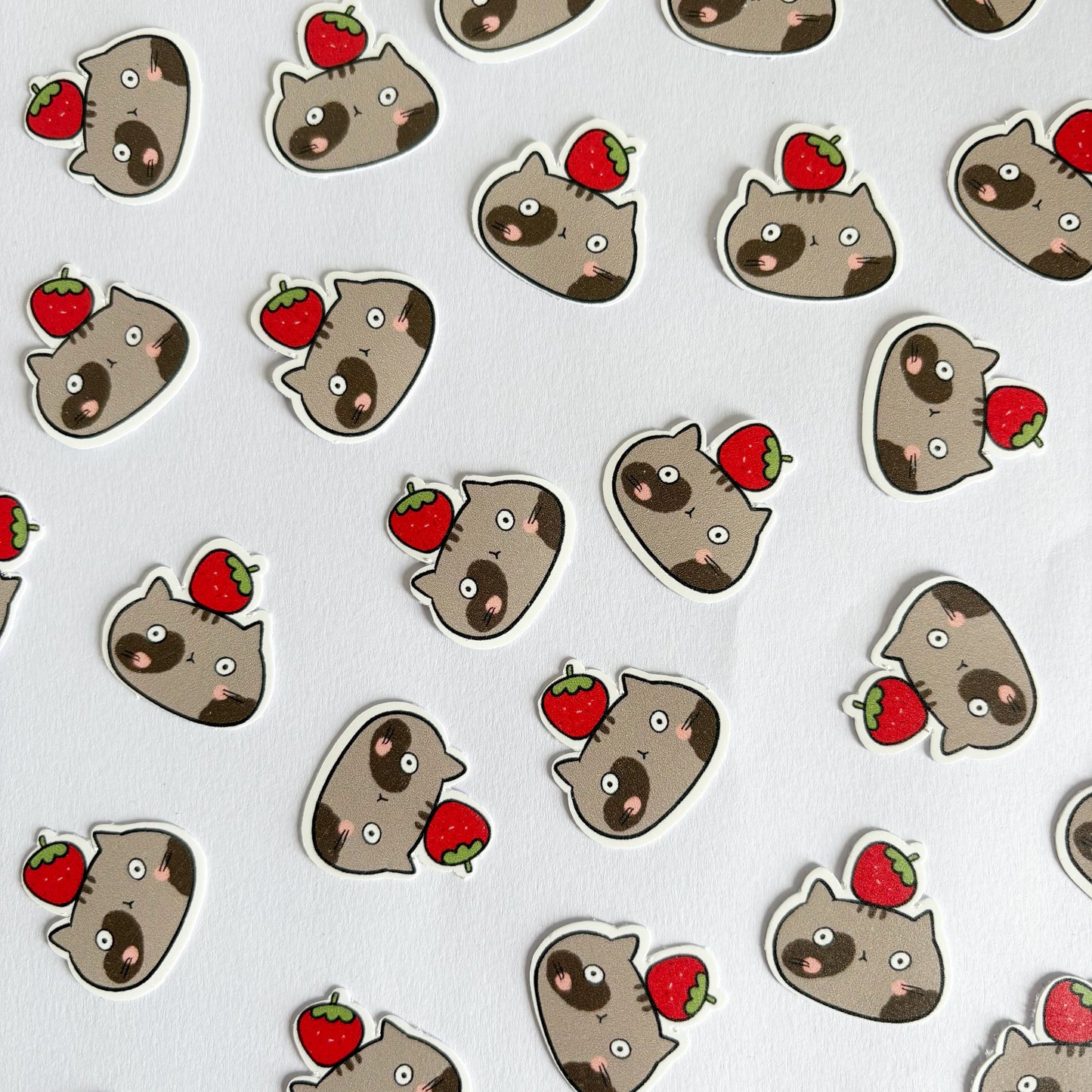 Fruity Meow Sticker Set